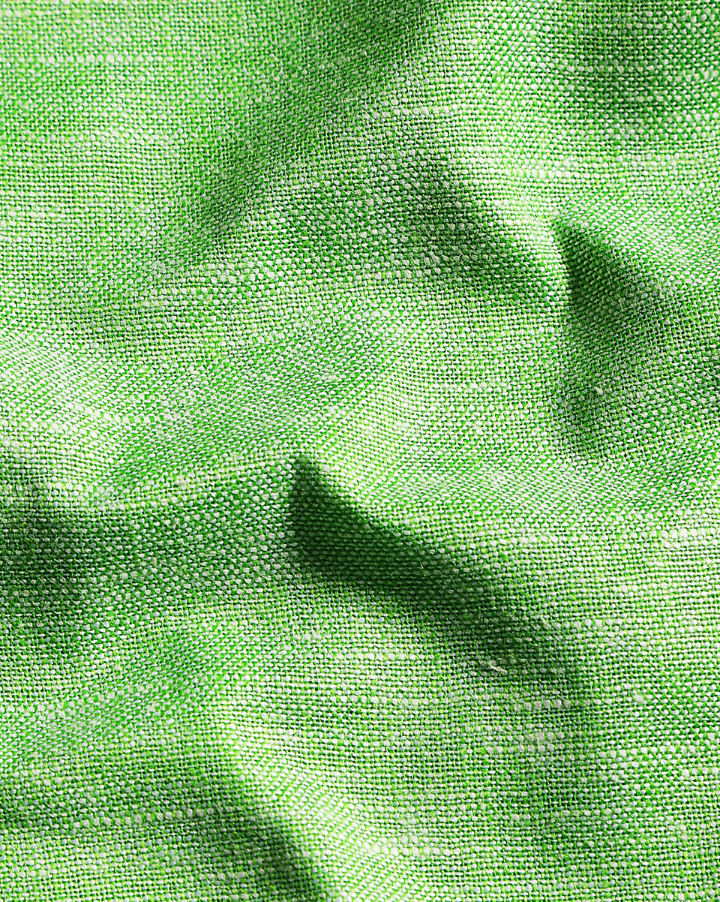 Classic Linen Parrot Green Men Shirt
